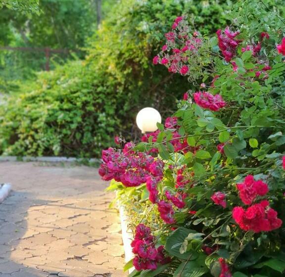 بنسيون Decebal Eforie Nord