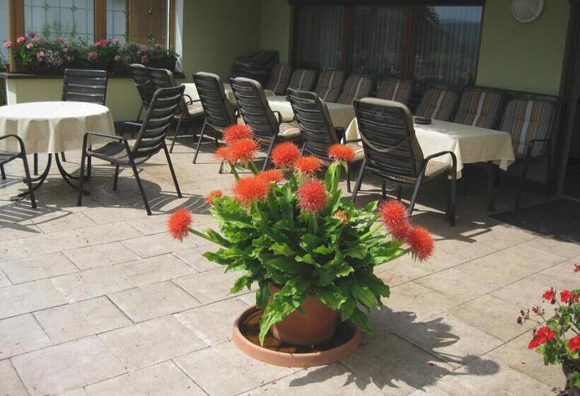 膳宿费 Gästehaus Steininger