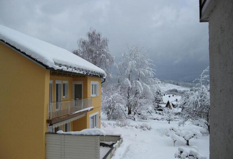 膳宿费 Gästehaus Steininger