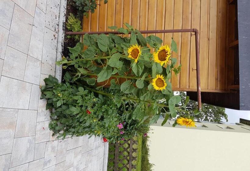 膳宿费 Gästehaus Steininger