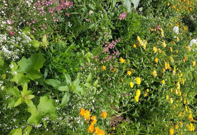 膳宿费 Gästehaus Steininger