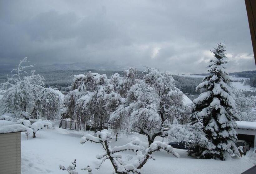 膳宿费 Gästehaus Steininger