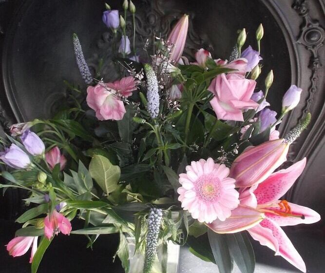 膳宿费 High Hedges Apartments