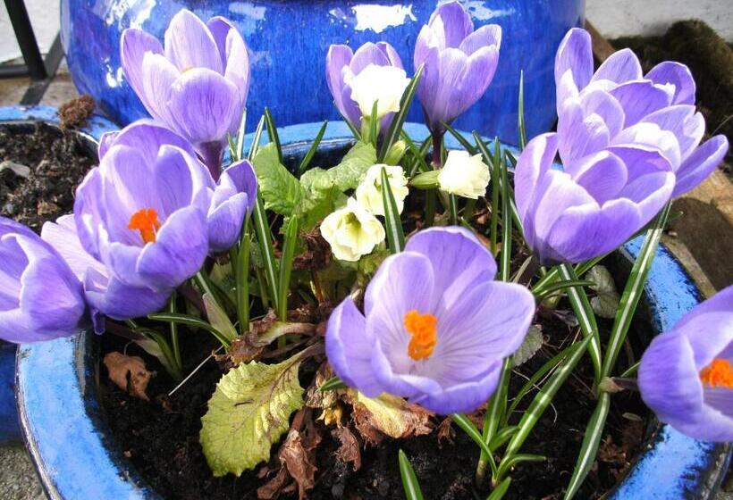 펜션 Leonards Field House