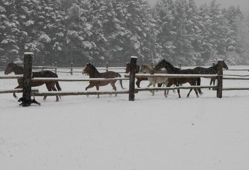 פנסיון Penzion Ranc U Trapera