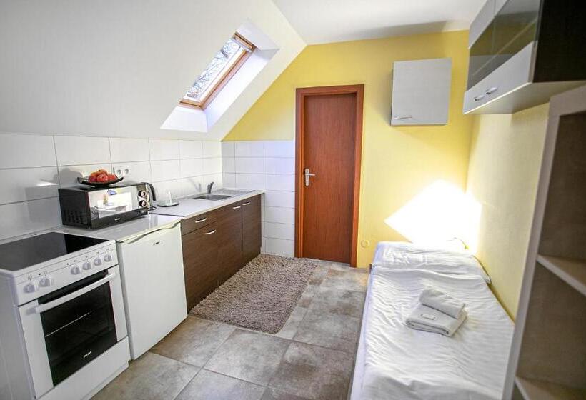 پانسیون Penzion Vion