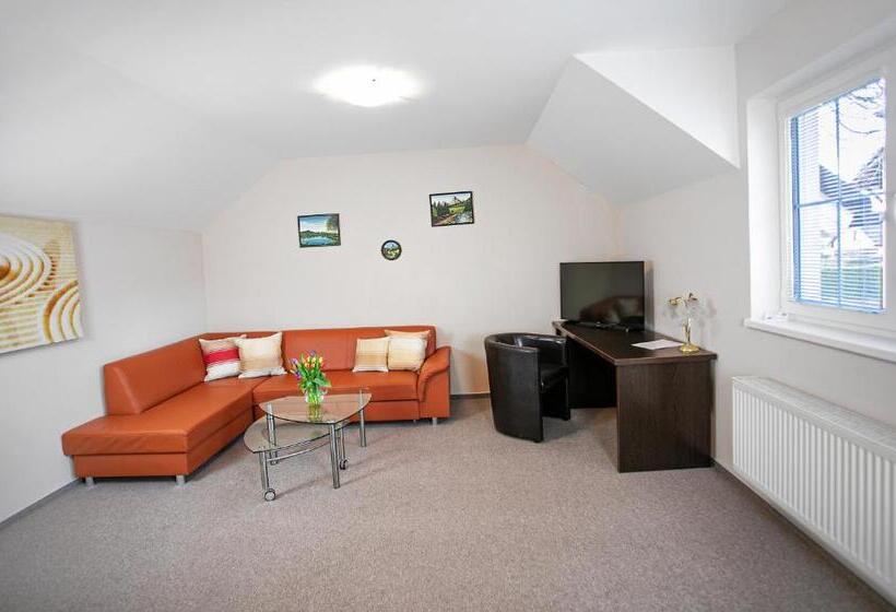 膳宿费 Penzion Vion