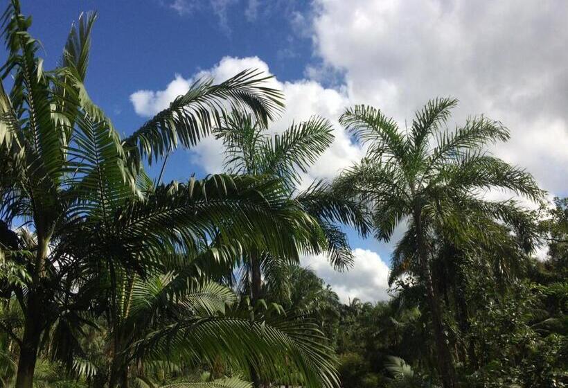 Пансион Pousada Do Oasis