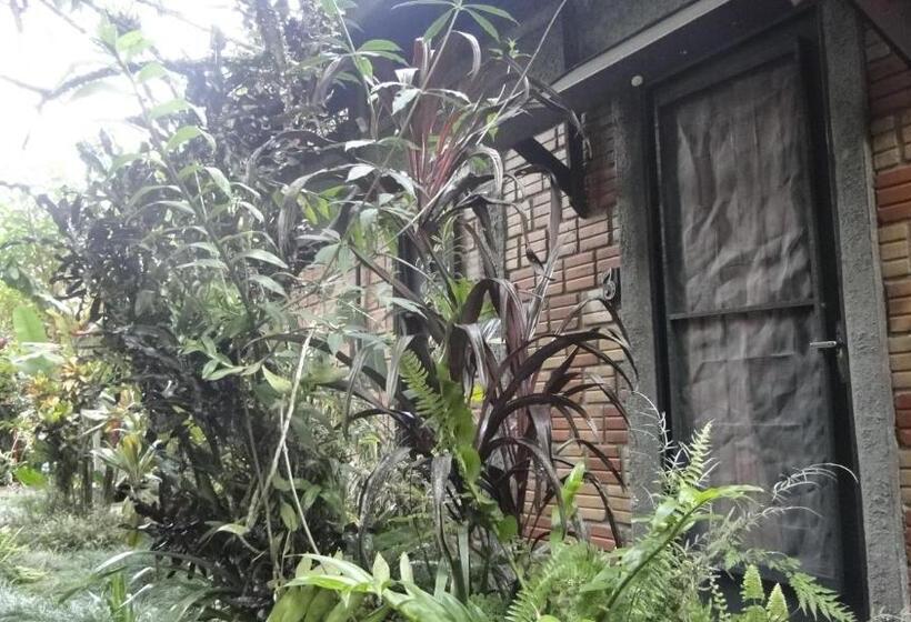 Пансион Pousada Do Oasis