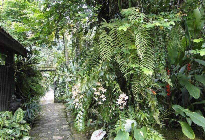 Пансион Pousada Do Oasis