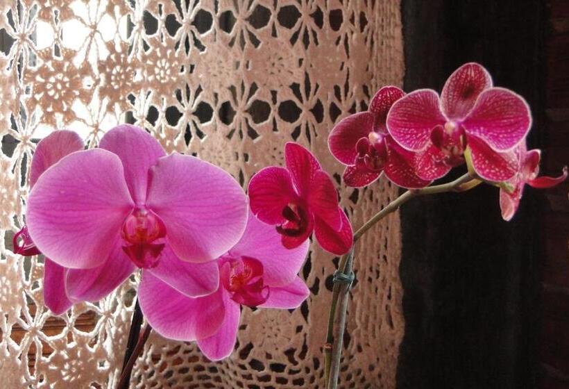 Пансион Pousada Do Oasis