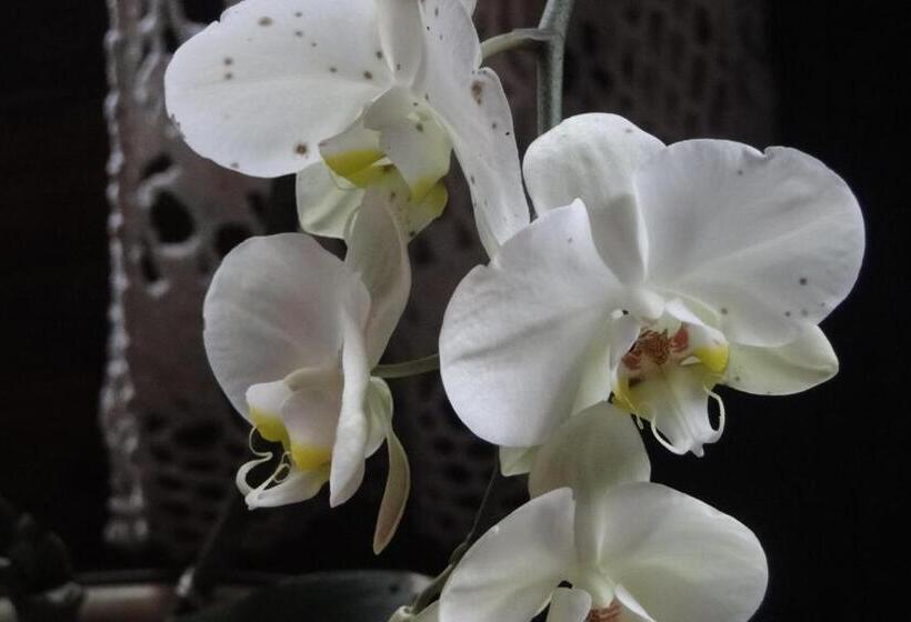 Пансион Pousada Do Oasis