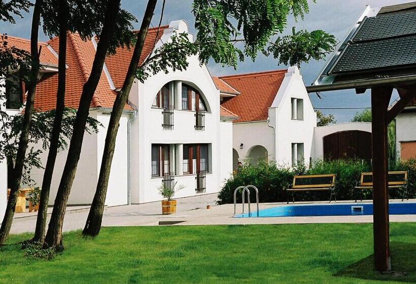 膳宿费 Szanyi Vendégház