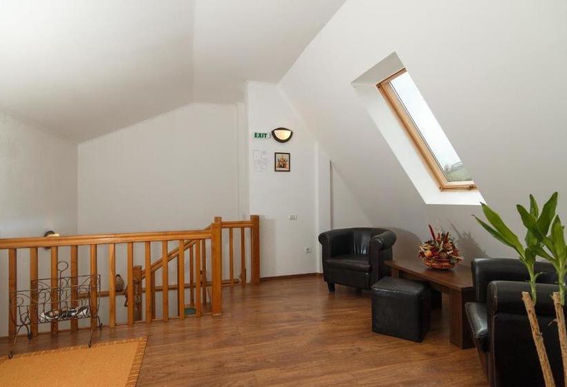 بنسيون The Guesthouse