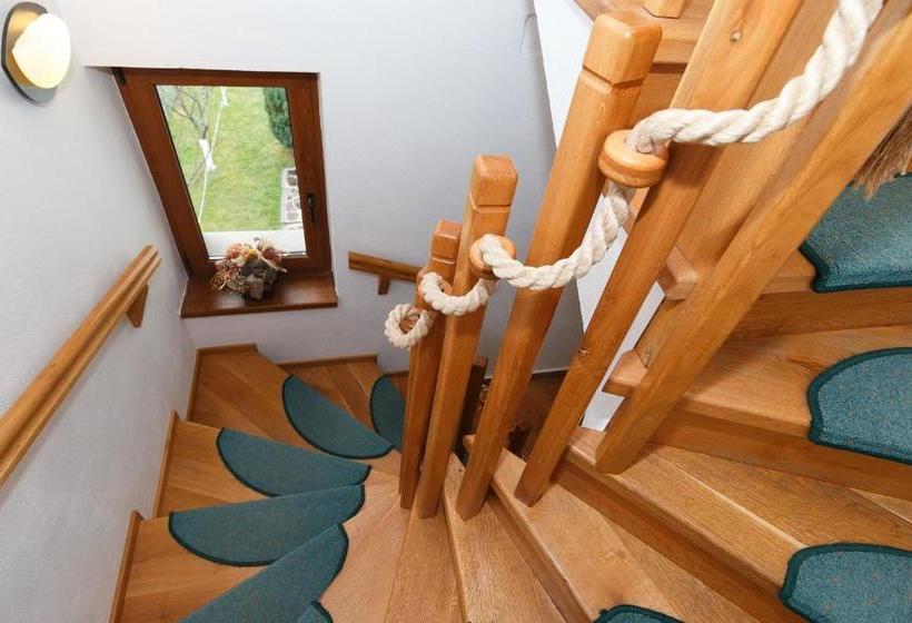 بنسيون The Guesthouse