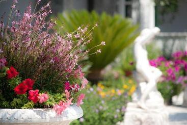 Residence Le Vigne