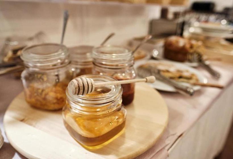 Residence Solenevesila B&b