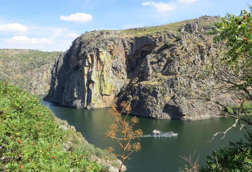 旅馆 Camping Lamego Douro Valley