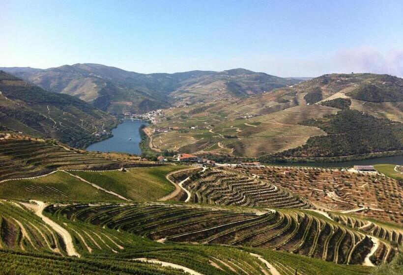 旅馆 Camping Lamego Douro Valley