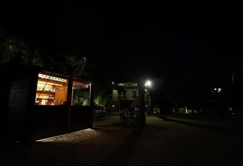 旅馆 Camping Lamego Douro Valley