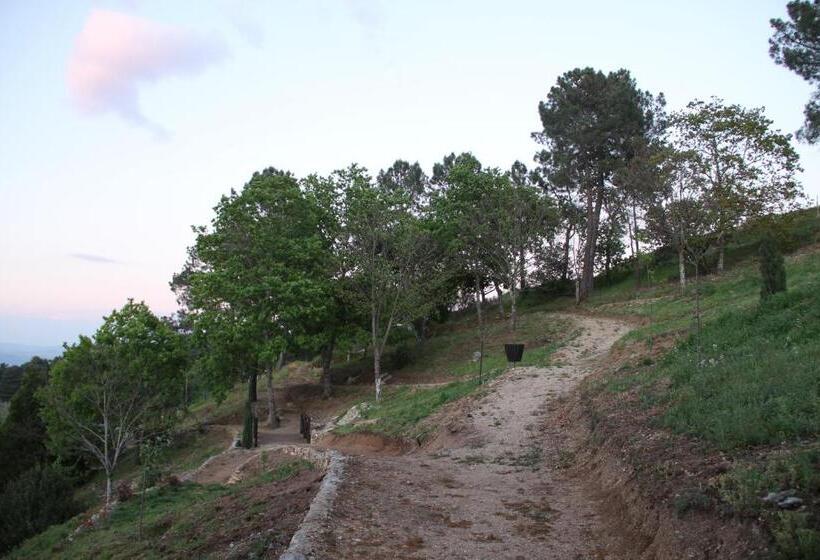 旅馆 Camping Lamego Douro Valley