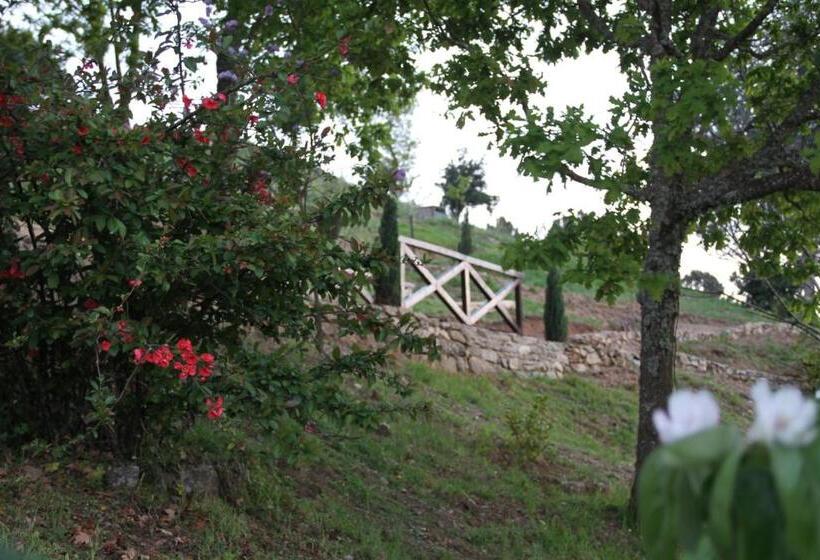 旅馆 Camping Lamego Douro Valley