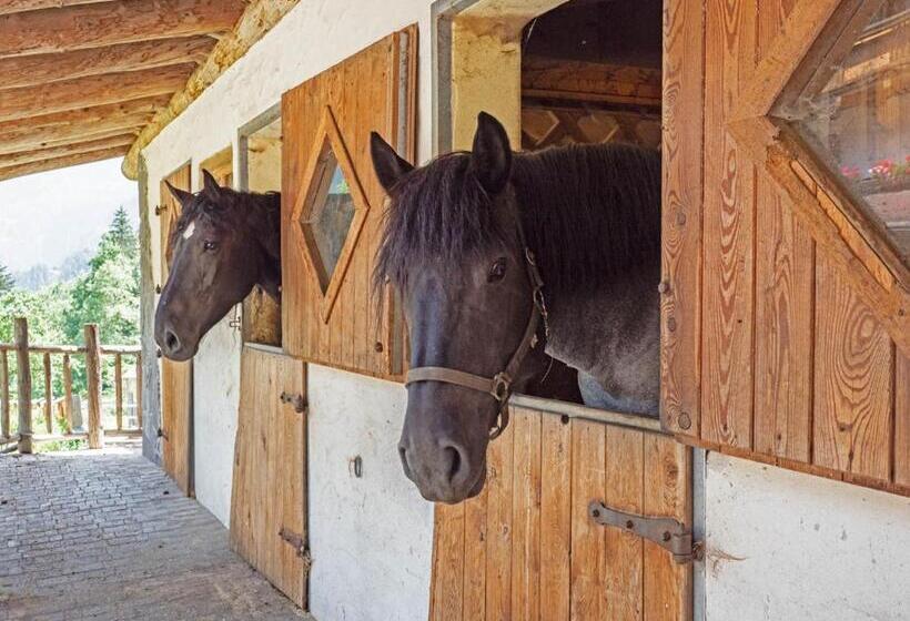 הוסטל Landgasthof Steiner