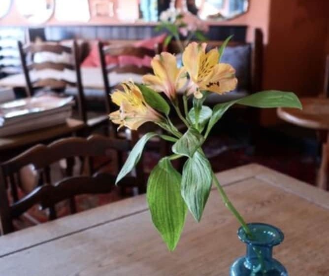 הוסטל The Lamb Inn