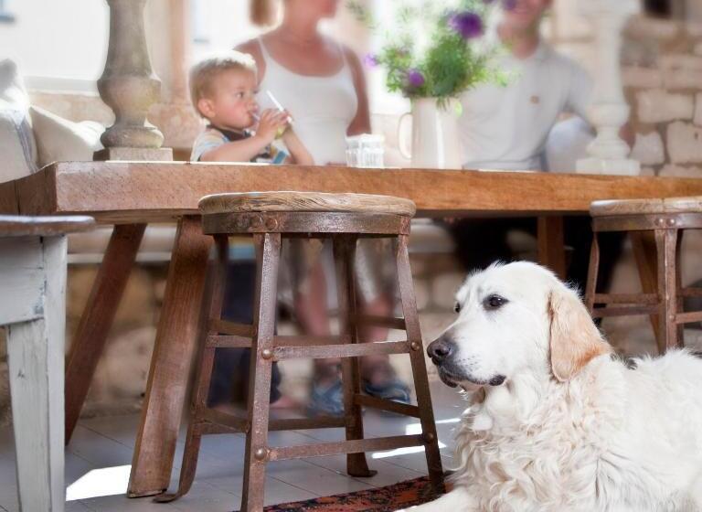 הוסטל The Lion Inn