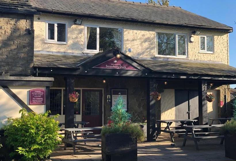فندق صغير The Strawbury Duck Inn