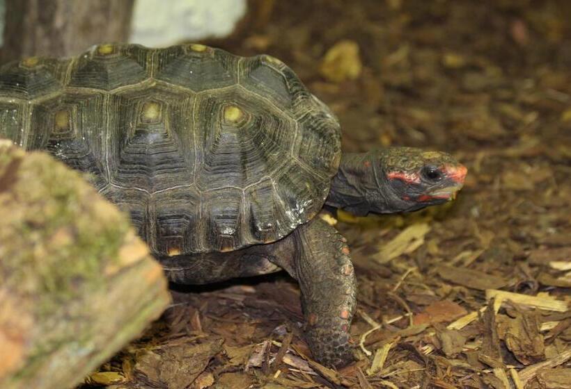 Aparthotel Tropenhaus Bansin