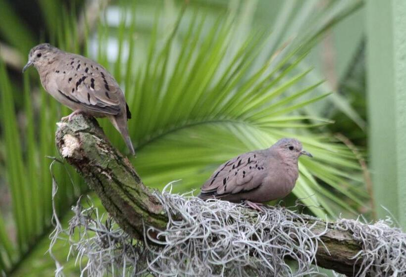 Aparthotel Tropenhaus Bansin