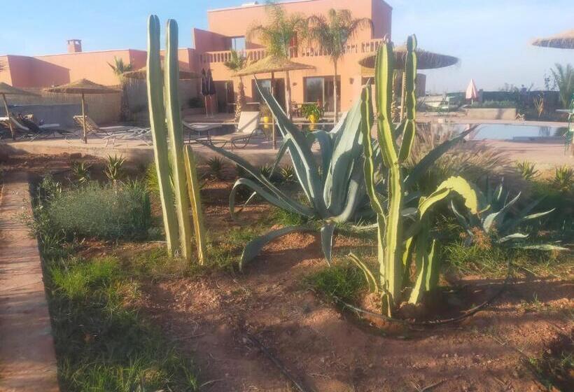 تختخواب و صبحانه Chez Jm Saida