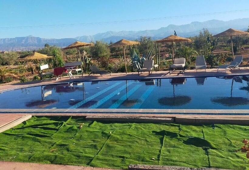 تختخواب و صبحانه Chez Jm Saida