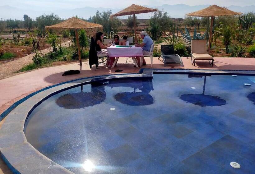 تختخواب و صبحانه Chez Jm Saida