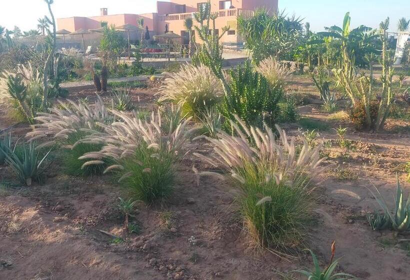 تختخواب و صبحانه Chez Jm Saida