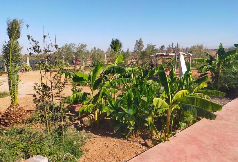 تختخواب و صبحانه Chez Jm Saida