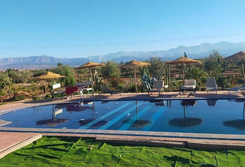 تختخواب و صبحانه Chez Jm Saida