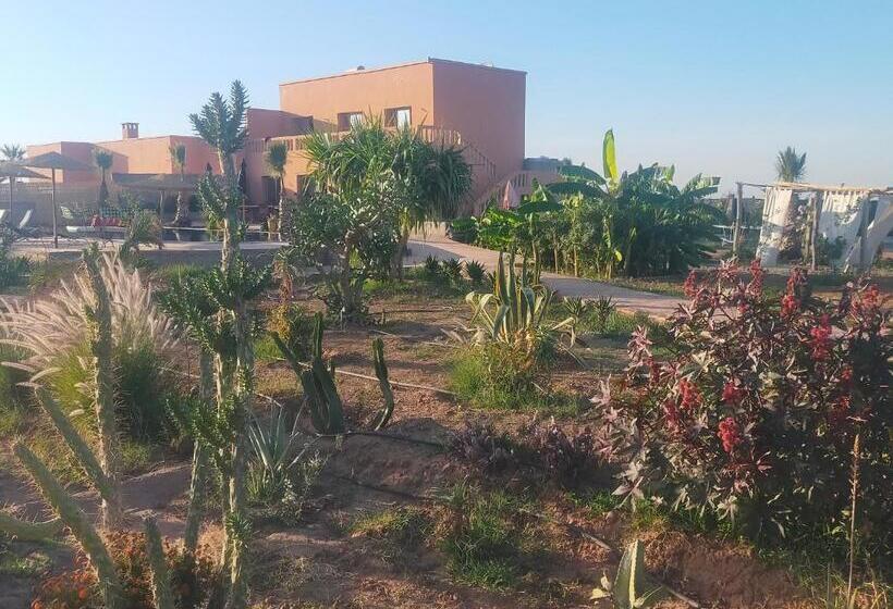 تختخواب و صبحانه Chez Jm Saida