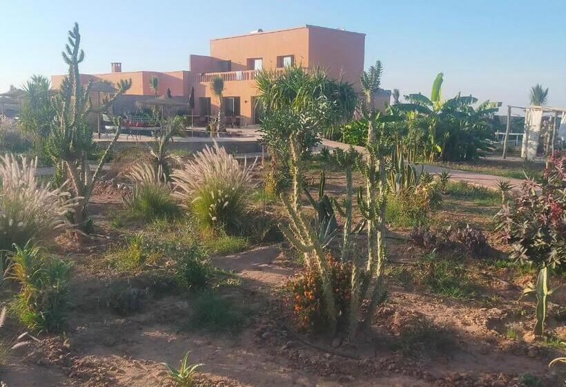 تختخواب و صبحانه Chez Jm Saida