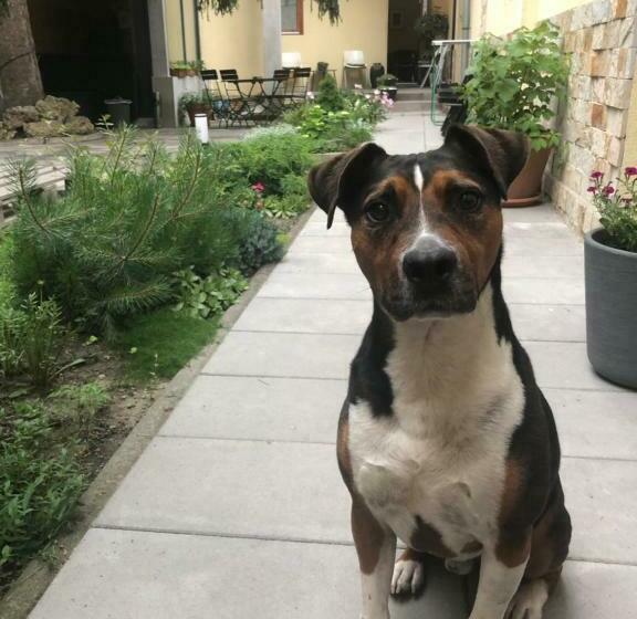 Bed and Breakfast Margaréta Garden & Spa