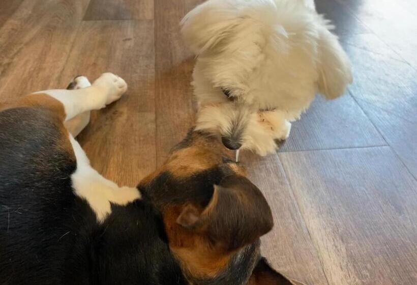 Bed and Breakfast Margaréta Garden & Spa