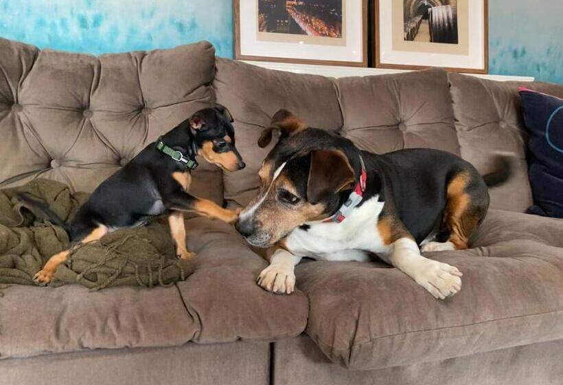 住宿加早餐  Margaréta Garden & Spa