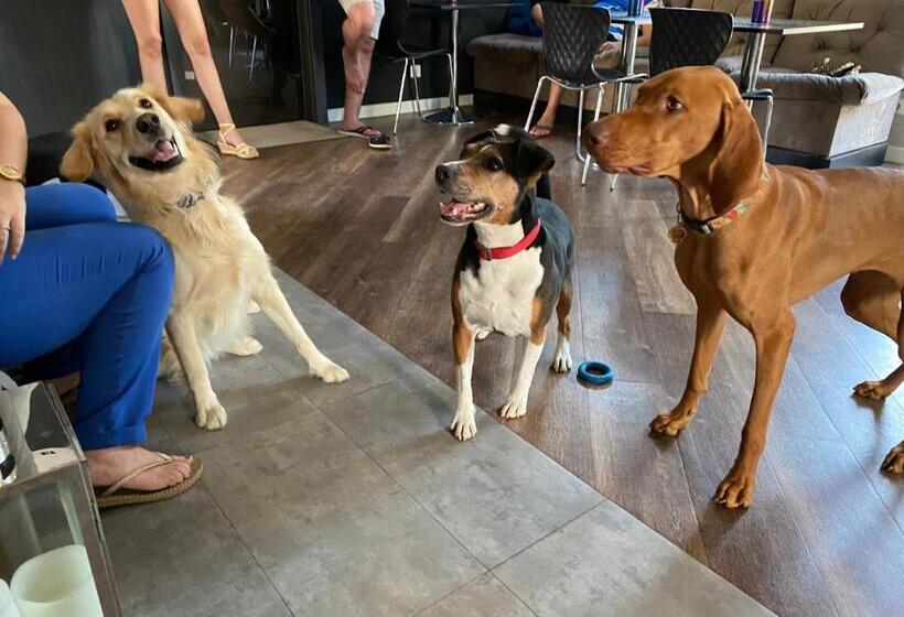 住宿加早餐  Margaréta Garden & Spa