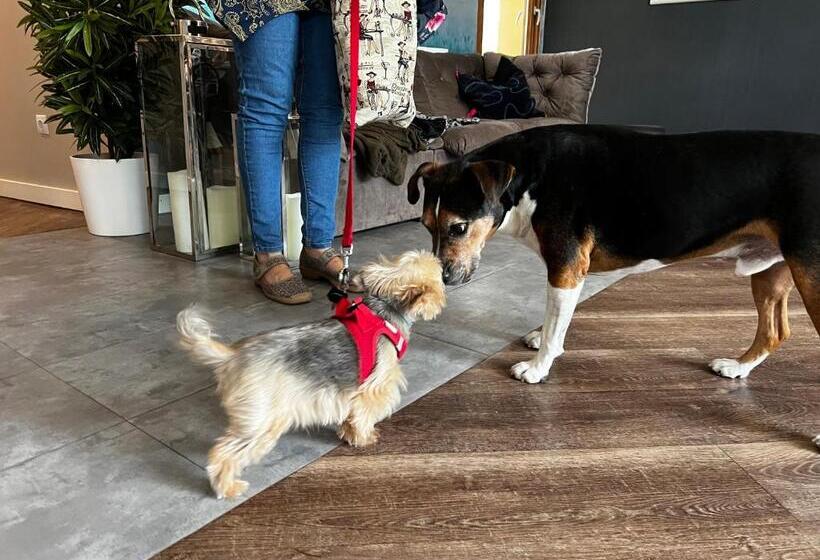 Bed and Breakfast Margaréta Garden & Spa