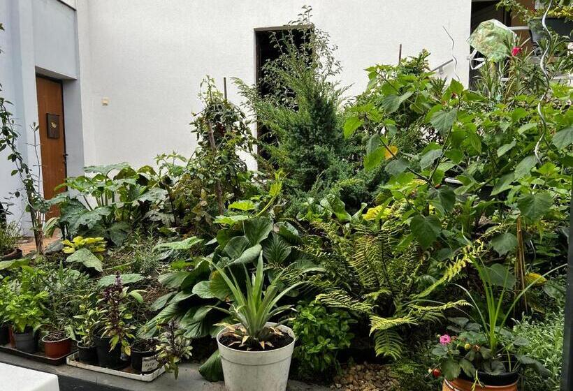 住宿加早餐  Margaréta Garden & Spa