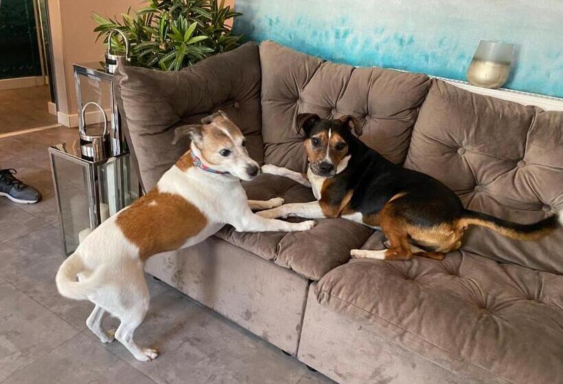 Bed and Breakfast Margaréta Garden & Spa