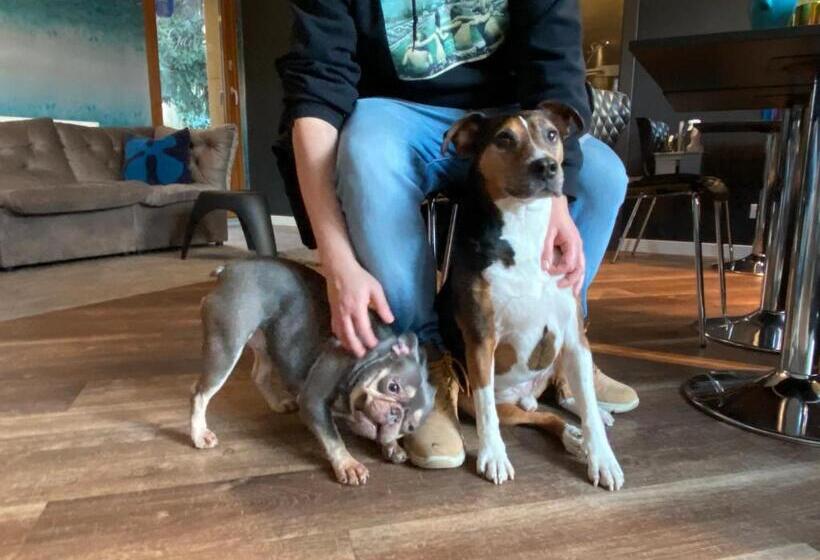 Bed and Breakfast Margaréta Garden & Spa