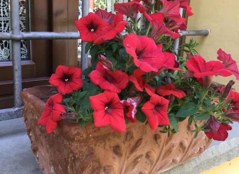 호텔 Agriturismo Flabeto