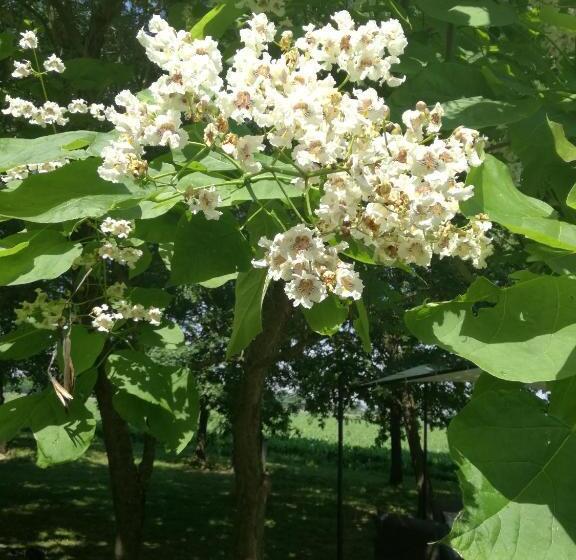 호텔 Agriturismo Flabeto